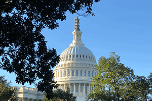 U.S. Capitol dome framed by tree branches against a blue sky